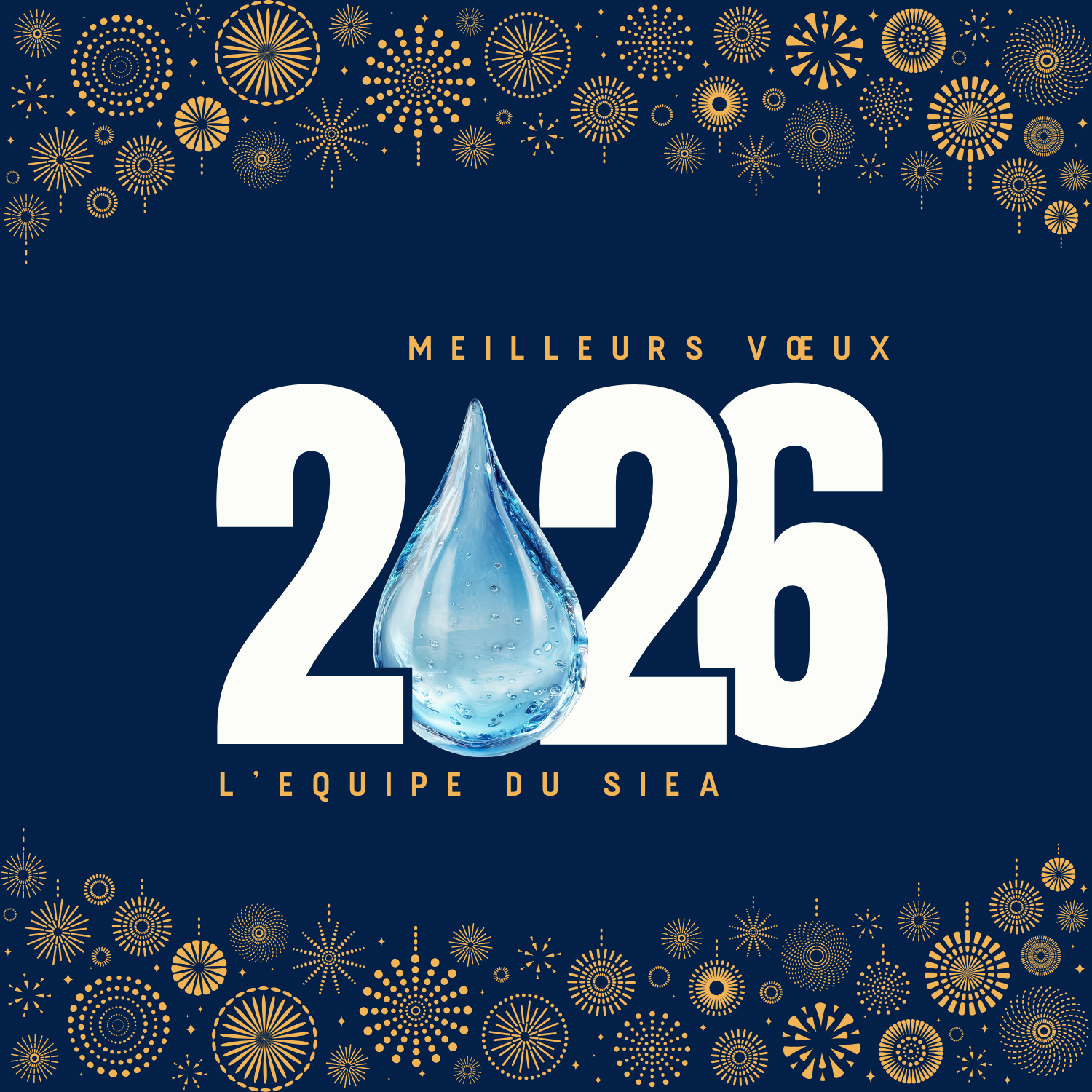 Les vœux du SIEA !